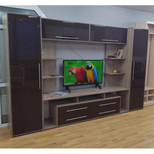 Вітальня Flashnika 24 (МДФ)
