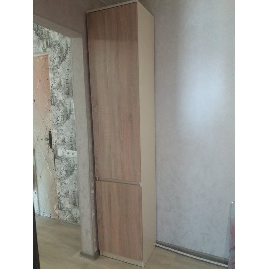 Шафа розпашна Смузі 02 (450)