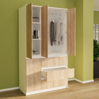 Шафа розпашна Смузі 23 (1000)
